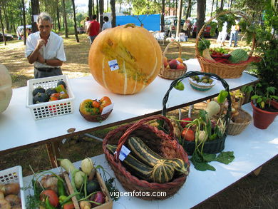 FESTA DO PÃO DE MILLO EM CABRAL - COTOGRANDE - 2004