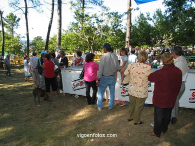 FESTA DO PÃO DE MILLO EM CABRAL - COTOGRANDE - 2004