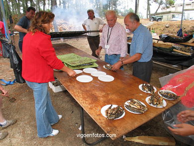 FESTA DO PULPO NO MONTE DOS POÇOS (VALLADARES) - 2004