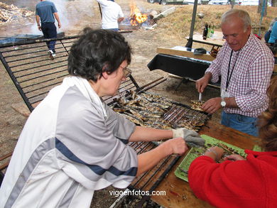 FIESTA DEL PULPO EN EL MONTE DE LOS POZOS (VALLADARES) - 2004