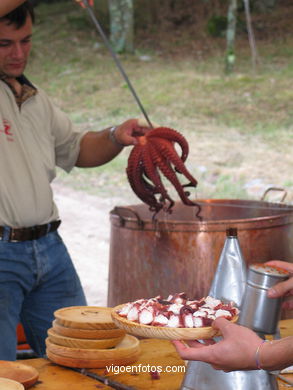 FESTA DO PULPO NO MONTE DOS POÇOS (VALLADARES) - 2004