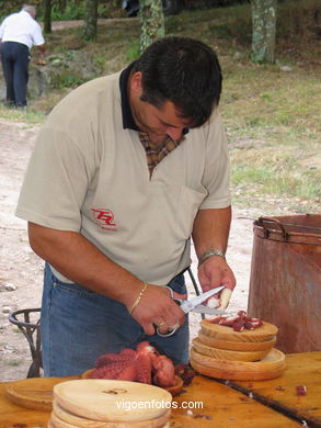 FIESTA DEL PULPO EN EL MONTE DE LOS POZOS (VALLADARES) - 2004