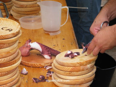 FIESTA DEL PULPO EN EL MONTE DE LOS POZOS (VALLADARES) - 2004