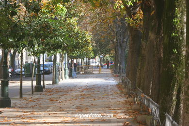 GARDEN OF THE ALAMEDA