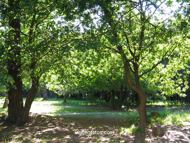 PARQUE DE A BOUZA