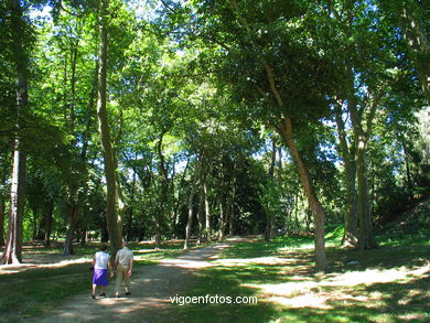 BOSQUE DO PARQUE DE CASTRELOS