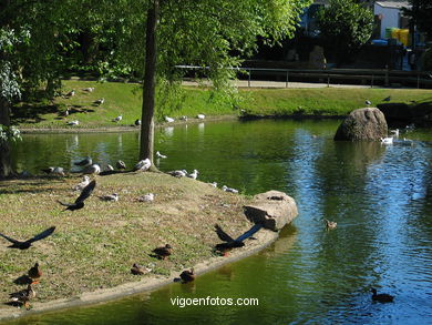 LAGO ARTIFICIAL DO PARQUE DE CASTRELOS