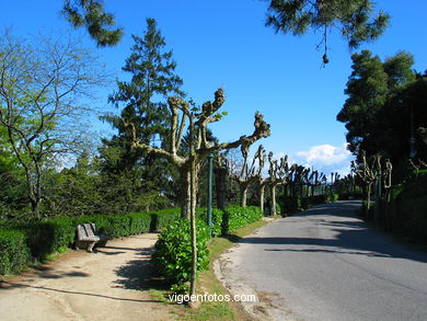 BOSQUE E JARDINS DO PARQUE DO CASTRO