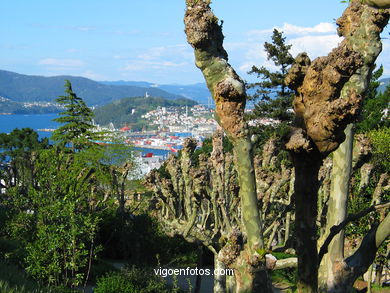 FOREST AND GARDENS OF THE CASTRO