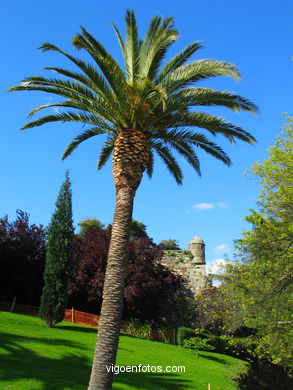 BOSQUE Y JARDINES DEL PARQUE DEL CASTRO