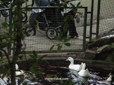 PAISAGENS E RINCÕES DO PARQUE DO CASTRO