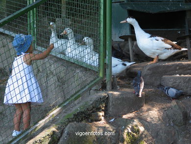 PAISAGENS E RINCÕES DO PARQUE DO CASTRO