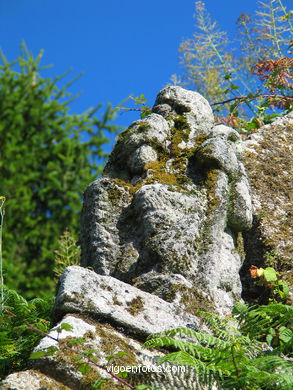 PAISAJES Y RINCONES DEL PARQUE DEL CASTRO