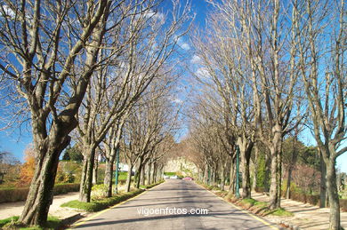 LANDSCAPES AND PLACES OF THE CASTRO PARK