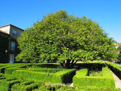 FRENCH GARDEN - QUIÑONES DE LEON