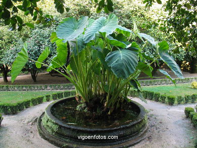 JARDÍN INGLÉS DE QUIÑONES DE LEÓN