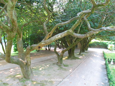 ENGLISH GARDEN - QUIÑONES DE LEON