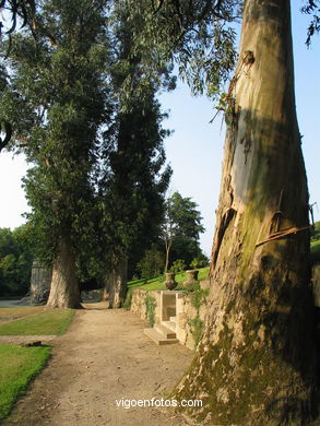 JARDINES POSTERIORES DE QUIÑONES DE LEÓN