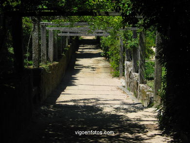 JARDINES POSTERIORES DE QUIÑONES DE LEÓN