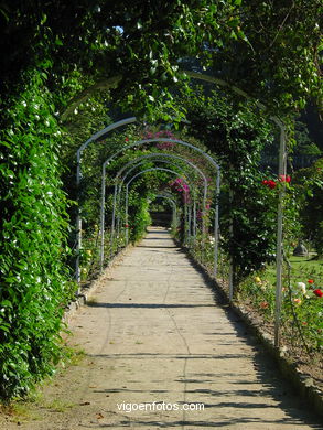 ROSE GARDEN - QUIÑONES DE LEÓN