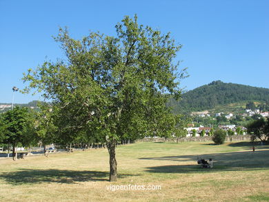 PARQUE DE LA RIOUXA