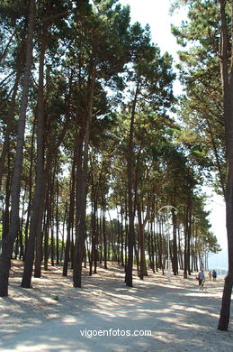 ESPEDRIGADA AND TOMBO DO GATO BEACH - VIGO - SPAIN