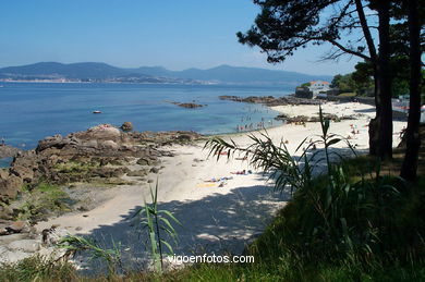 PLAYA DE LOS OLMOS