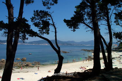 PLAYA DE LOS OLMOS