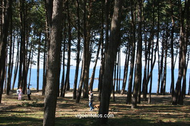 GROVES AND GARDENS - SAMIL BEACH - VIGO - SPAIN