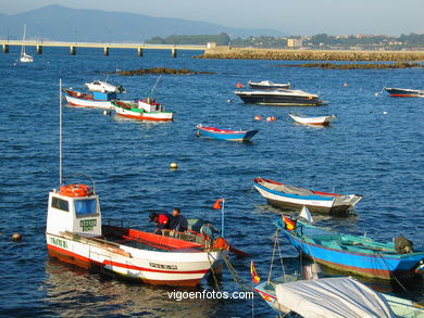 PORT OF CANIDO AREA - VIGO - SPAIN