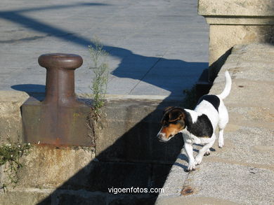 PUERTO DEPORTIVO DEL NÁUTICO DE VIGO