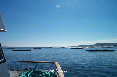 PASAJES EN LA RÍA DE VIGO