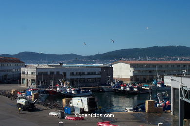 FISHING PORT OF THE BERBES AREA - VIGO - SPAIN