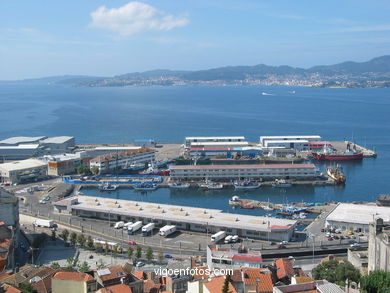 FISHING PORT OF THE BERBES AREA - VIGO - SPAIN