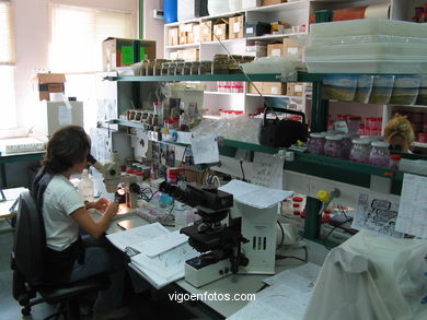 FACULTAD DE CIENCIAS