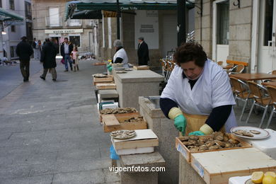 OSTRAS. RUA DAS OSTRAS DE VIGO