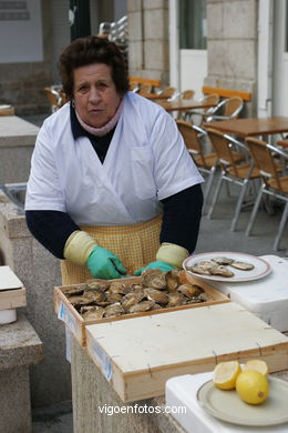 OSTRAS. RUA DAS OSTRAS DE VIGO