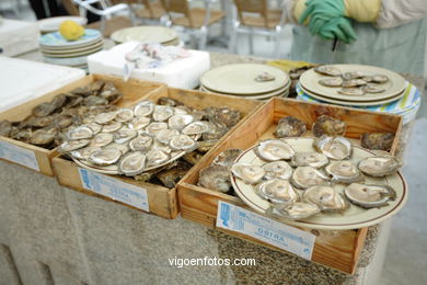 OSTRAS. RUA DAS OSTRAS DE VIGO