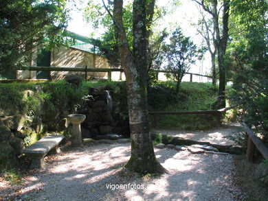 VIGOZOO. INSTALAÇÕES DE VIGOZOO