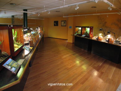 Vigozoo FACILITIES