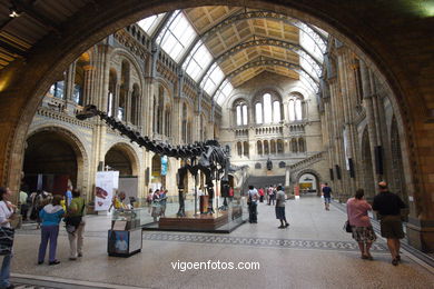 Natural History Museum. 