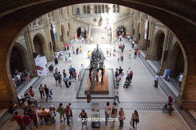 Museo de Historia Natural. 