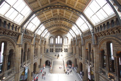 Natural History Museum. 