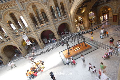 Museo de Historia Natural. 