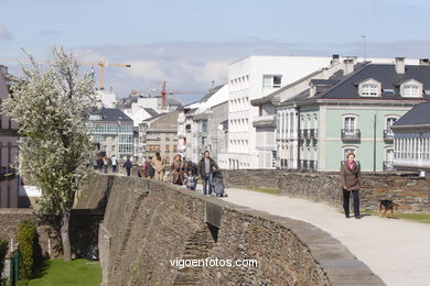 Muralla de Lugo. 