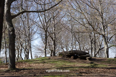 DOLMEN CHAN DE ARQUIÑA