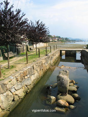 MARISMAS DE MEIRA Y RIO DA PONTE