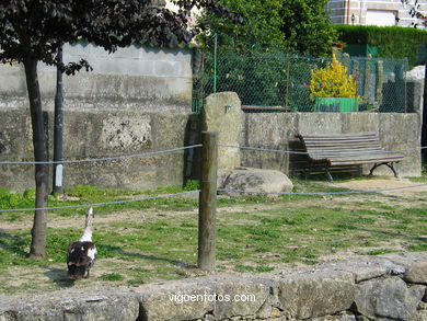 MARISMAS DE MEIRA Y RIO DA PONTE