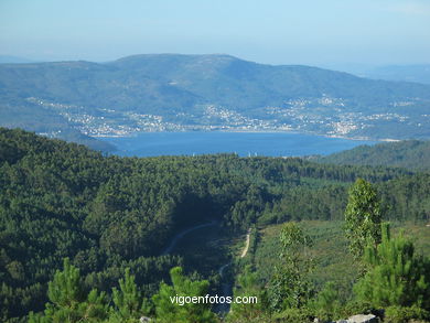 PUNTO DI VISTA Domaio