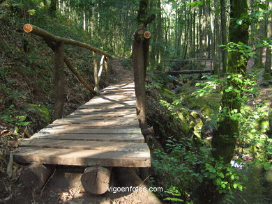 RUTA DE SENDERISMO RIO DA FRAGA